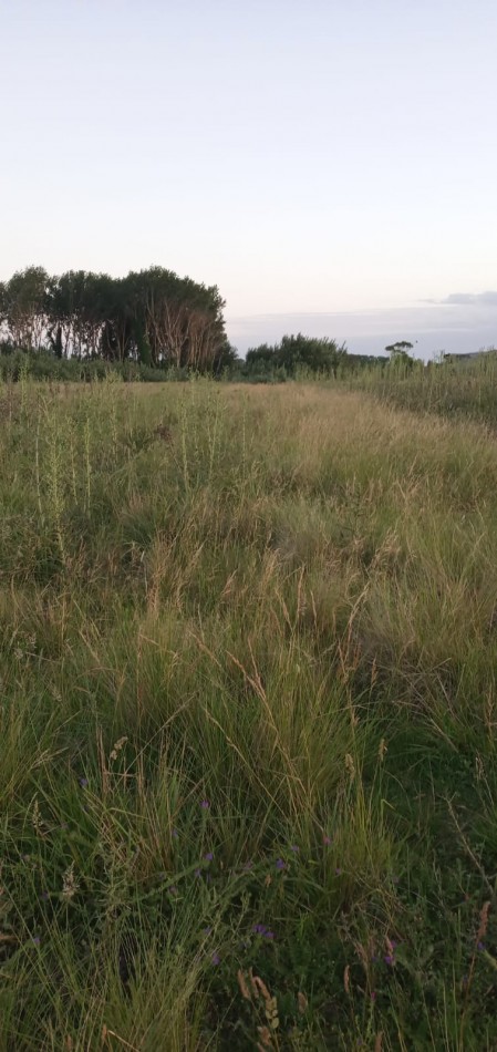 Oportunidad Vendo Terreno En San Eduardo De Chapadmalal